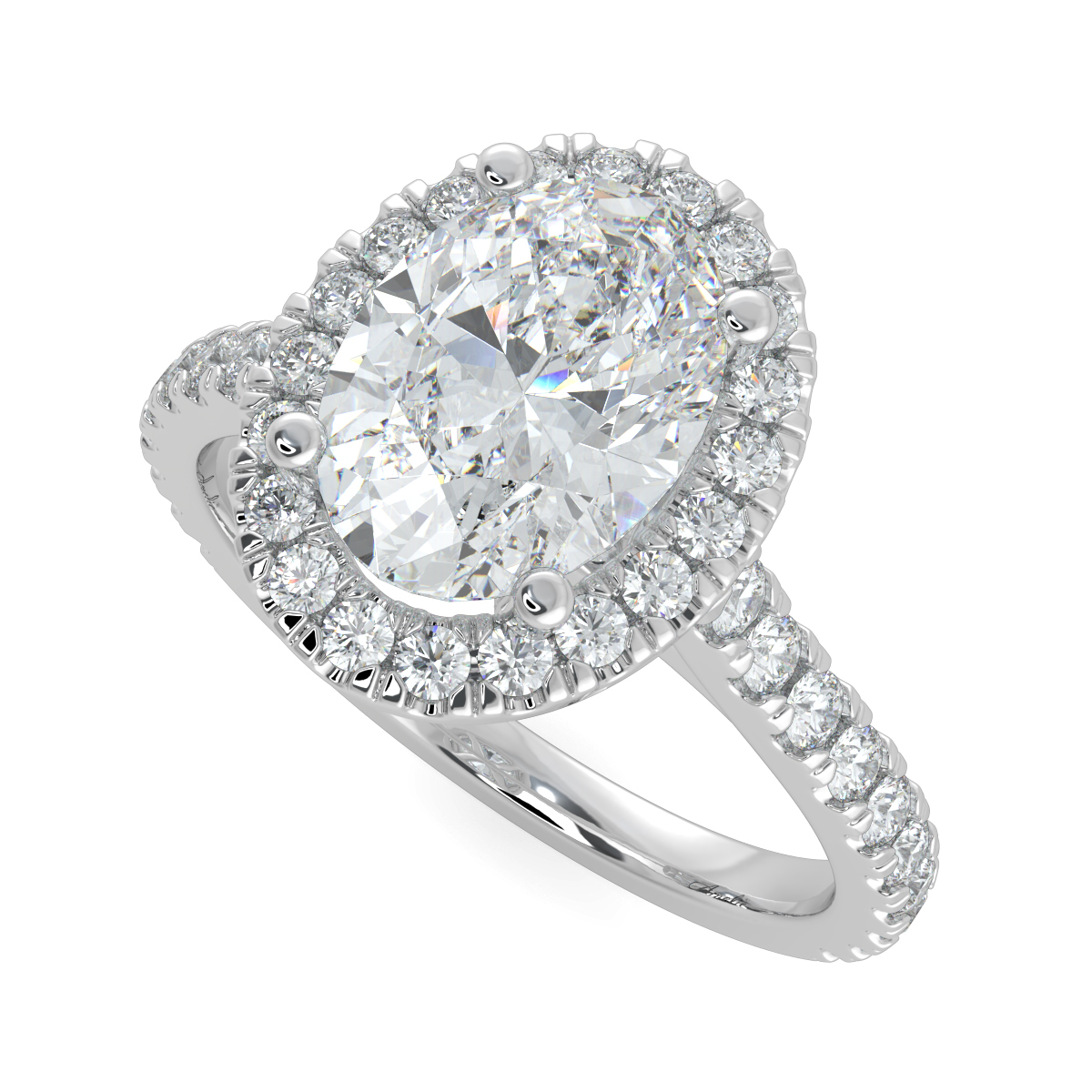 Camellia Cultured Oval