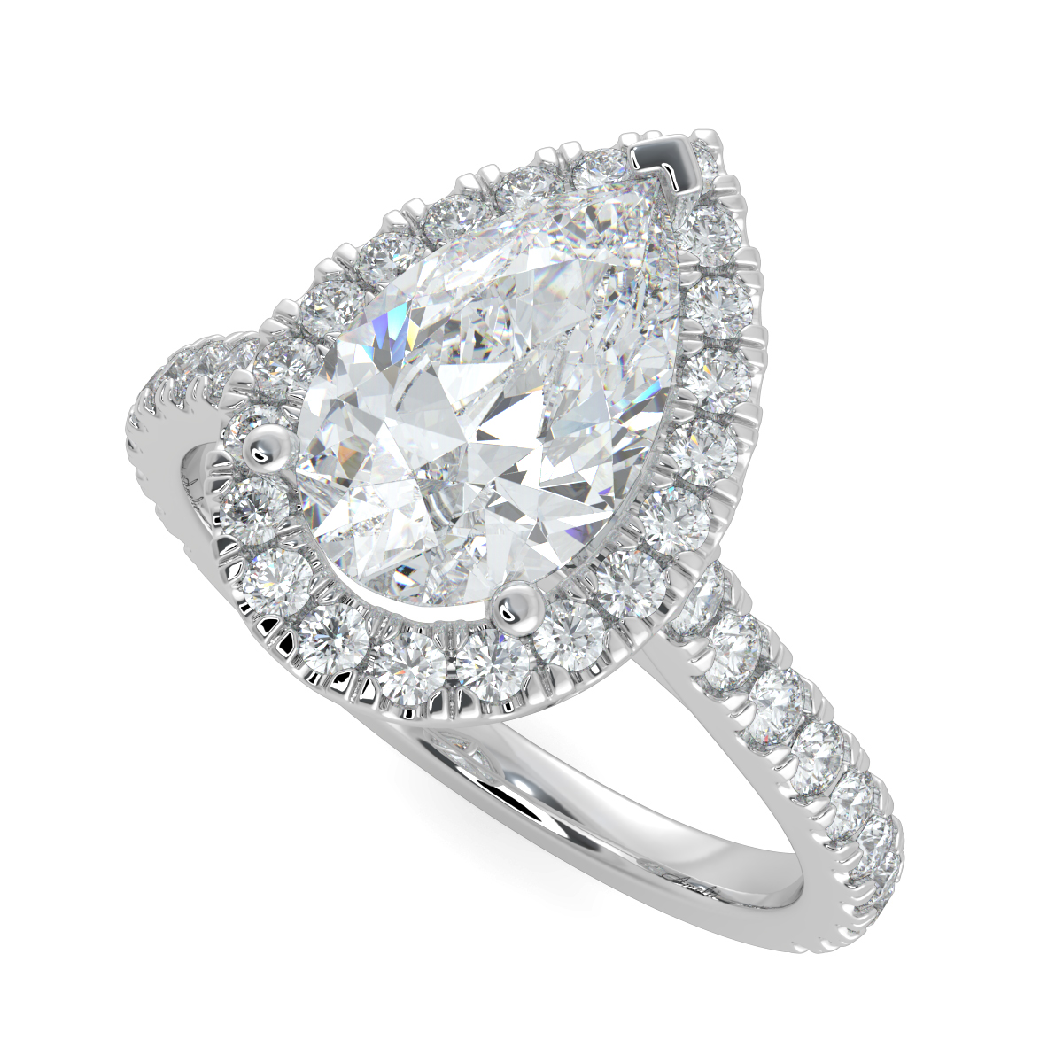 Camellia Cultured Pear