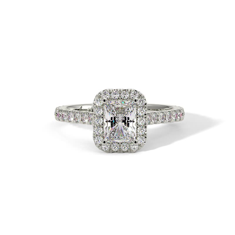 Camellia Cultured Radiant