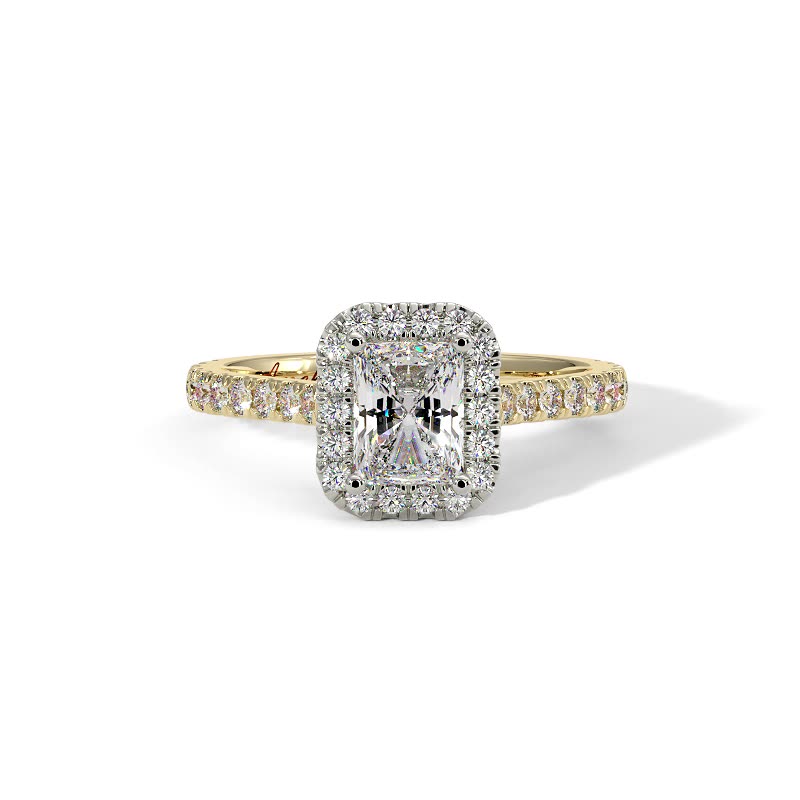 Camellia Cultured Radiant